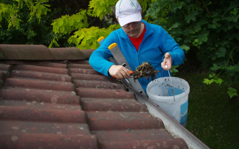 Gutter Cleaning West View, Florida
