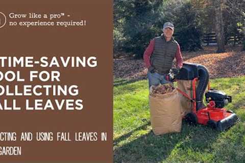 A Time-Saving Tool for Collecting Fall Leaves | DR Power Walk-Behind Leaf & Lawn Vacuum