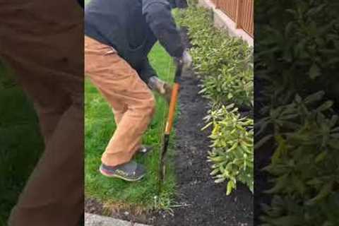 How to edge your lawn (easy). Love, Dad