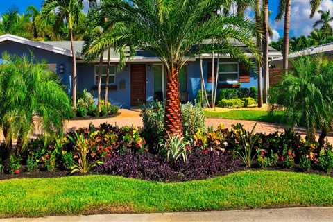 Transform Your Landscape With Professional Tree Trimming In Pembroke Pines, FL