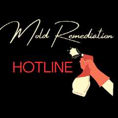 Mold Remediation Hotline Roswell GA 11660 Alpharetta Hwy, Roswell, GA 30076 | Mold Remediation..