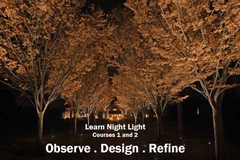 Learn Night Light with Janet Lennox Moyer