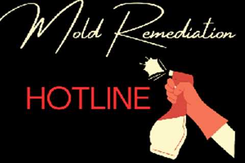 Mold Remediation Hotline Hollywood CA
