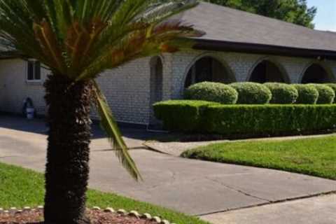 Exploring Fence Materials: A Guide for New Orleans Landscapes