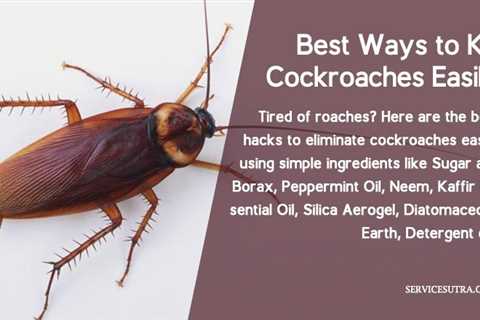 How Do I Get Rid Of Roaches In My House Fast?