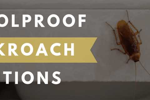 What Dries Out Roaches?