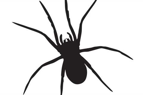 Zodiac signs as spiders