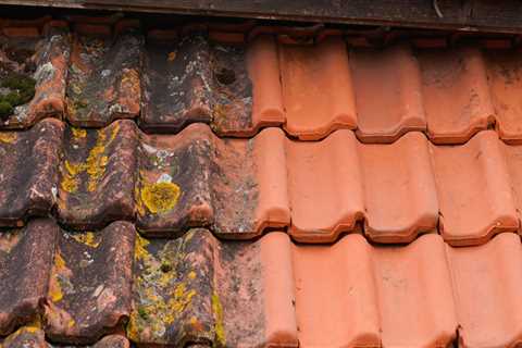 Roof Cleaning Walsall