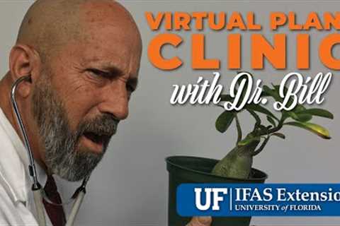 The Virtual Plant Clinic With Dr. Bill January 11, 2024