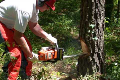 Tree Surgeon Brindle