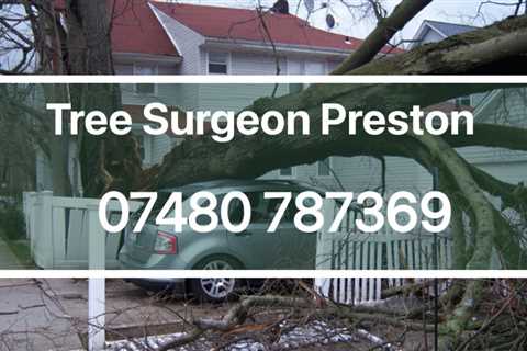 Tree Surgeon Great Eccleston