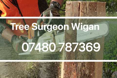 Tree Surgeon Location