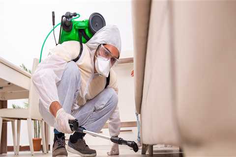 Why Is It Vital To Engage A Reliable Pest Control Service In Anaheim Rather Than Doing DIY Pest..