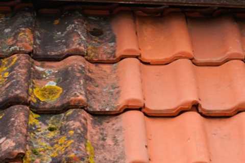 Roof Cleaning Kingswood