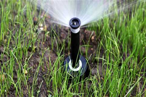 Maintaining The Beauty Of Your Garden: Sprinkler System Repair And Tree Care Services In Dulles, VA