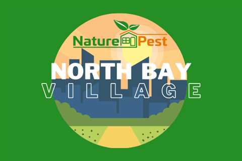 North Bay Village Pest Control | NaturePest Holistic Local Pest Control