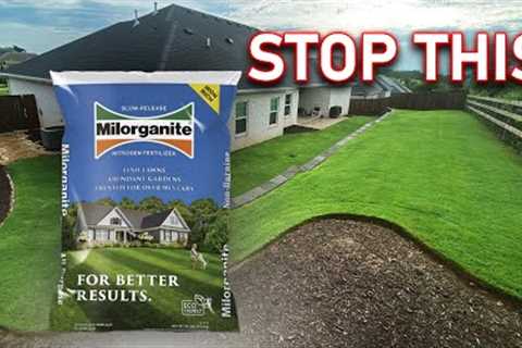 You''re Doing Too Much to Fertilize Your Lawn // A Case Against Milorganite and Soil Tests for Grass