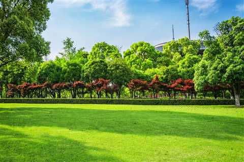 ENCOURAGING NATIVE TREE SPECIES FOR UTAH LANDSCAPES