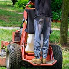 Maintaining A Pristine Lawn: The Importance Of Weed Control Services For Plano, TX Residential..