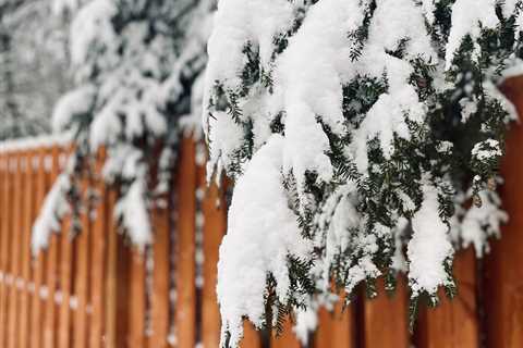 5 Tips for Winter Fence Maintenance