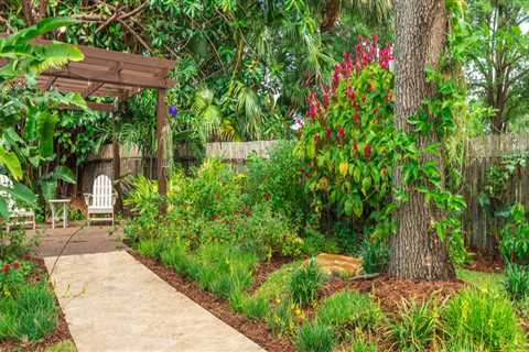 Discover The Top Landscape Construction Services In Pembroke Pines: Professional Advice From..