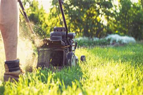The Ultimate Guide To Yard Care Services In Pembroke Pines For Keeping Your Groundskeeping..