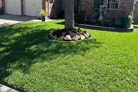Landscape Services in Harris County, Texas: What is the Customer Satisfaction Rate?