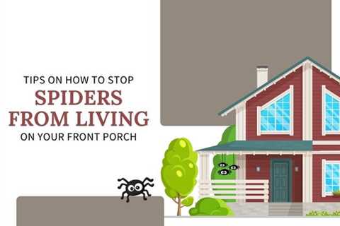 Cambridge Pest Control: Stop Spiders From Living on Your Front Porch With These Tips