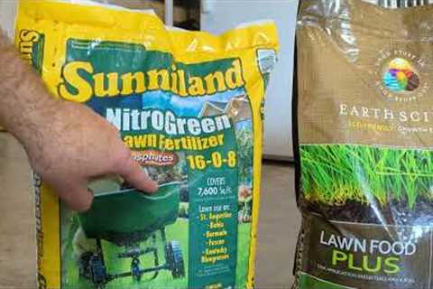 St. Augustine Grass Spring Lawn Care Program