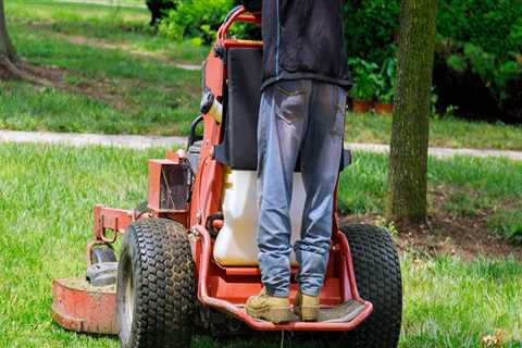 Maintaining A Pristine Lawn: The Importance Of Weed Control Services For Plano, TX Residential..