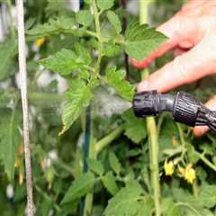 Does organic pest control work?