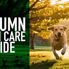 Autumn Lawn Care Guide