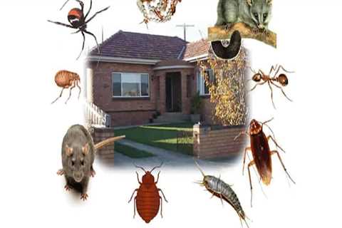 Which pest control?