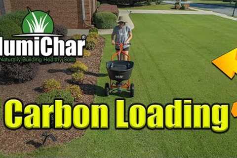 Humichar Fall Lawn Treatments - Lawn Biochar