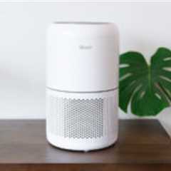 Best Air Purifiers of 2024