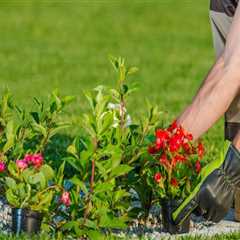 Hiring a Professional Gardener or Landscaper: A Complete Guide