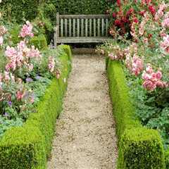 Caring for an English Garden: Tips and Inspiration