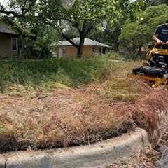 Abandoned House Gets Mowed Once A Year