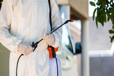 Keeping Your Home Pest-Free In Calgary: A Look At DIY Pest Control Methods And Professional Services