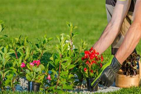 Hiring a Professional Gardener or Landscaper: A Complete Guide