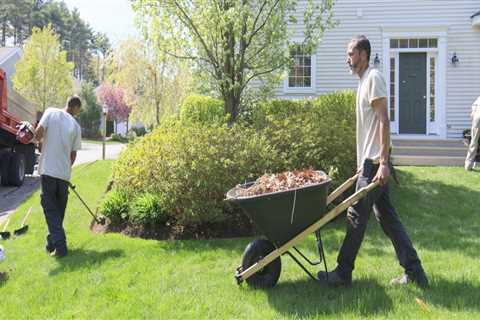 Seasonal Clean-Up and Pruning Services: A Guide to Maintaining Your Outdoor Spaces