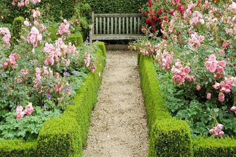 Caring for an English Garden: Tips and Inspiration