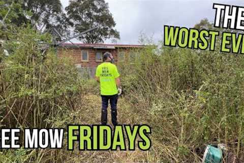 The most OVERGROWN Suburban backyard I''ve ever seen. Free Mow Fridays