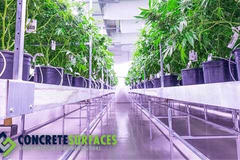 Advantages of Epoxy Flooring for Cannabis Grow Room Facilities