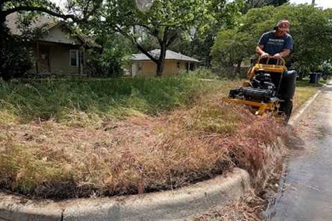 Abandoned House Gets Mowed Once A Year