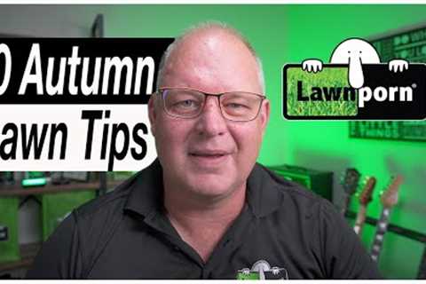 10 Autumn Lawn Tips: Improve Your Lawn
