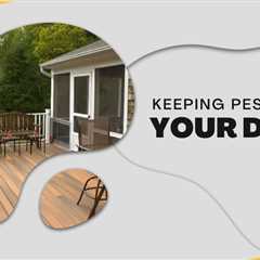 Preserving Your Peace: Keeping Carpenter Ants and Other Pests Off Your Deck in Kitchener