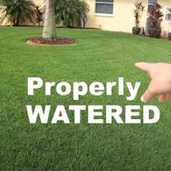 How Much Should I Water My Lawn? | Lawn Watering Tips