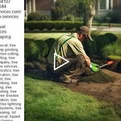 Tree Stump Removal Service - Tree Services - Truco