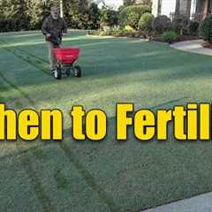 When to Fertilize Your Lawn Spring